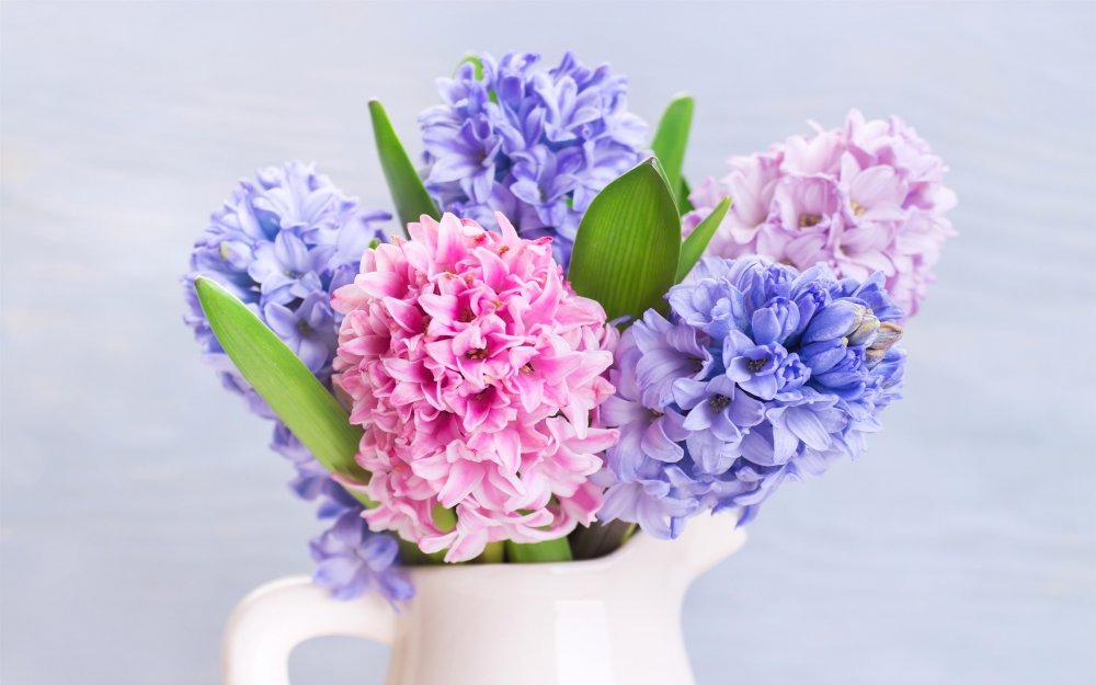 Тюльпаны цветы букет и гиацинт