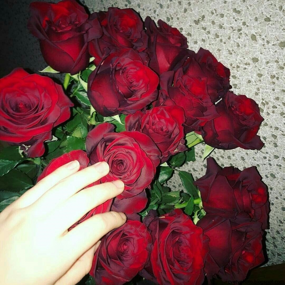 Букет красных роз в руках