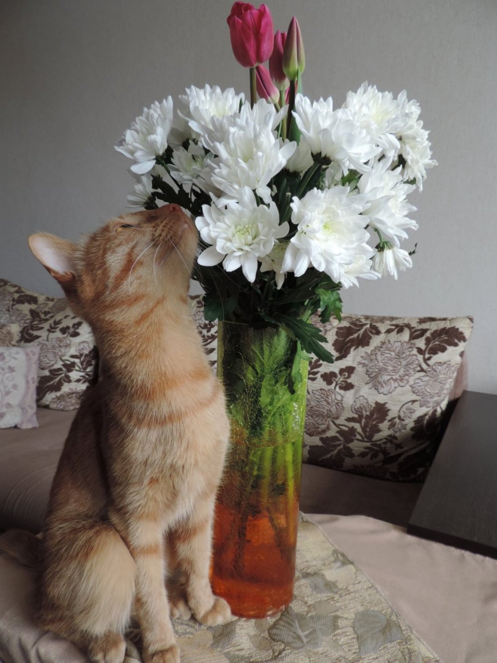 Кот с букетом цветов