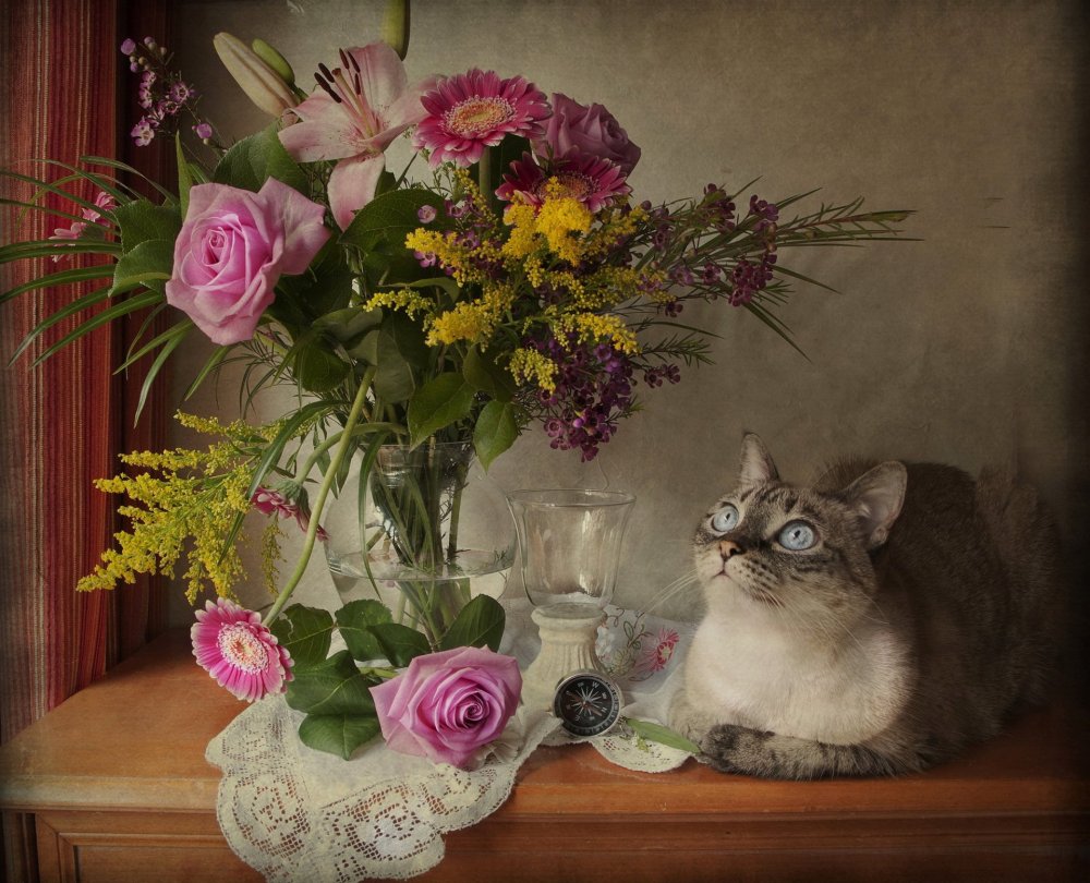 Натюрморт с кошкой и цветами