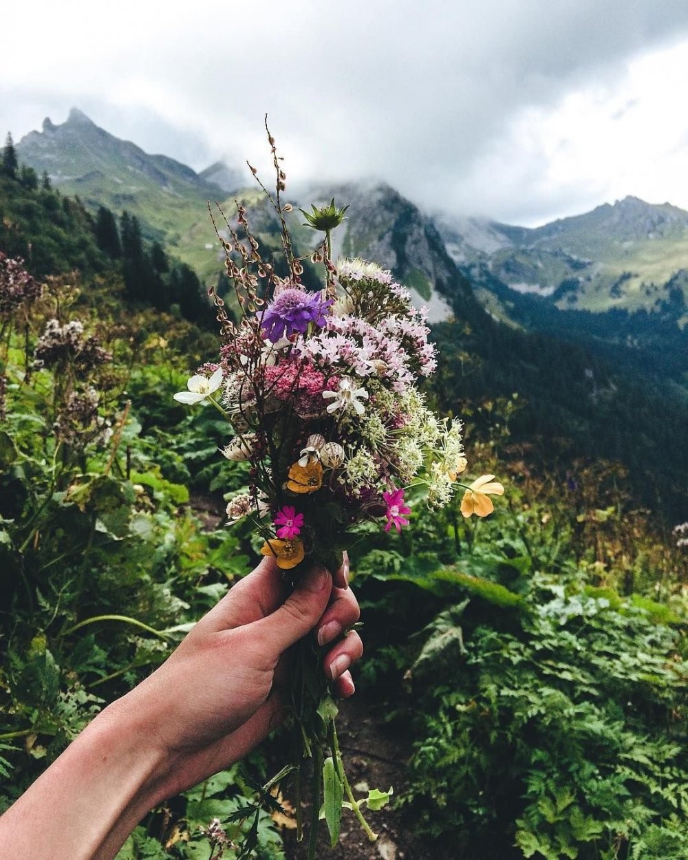 Букет цветов на фоне гор