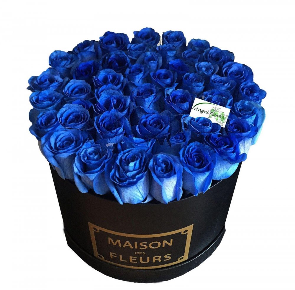 Синие розы Эквадорские сорт