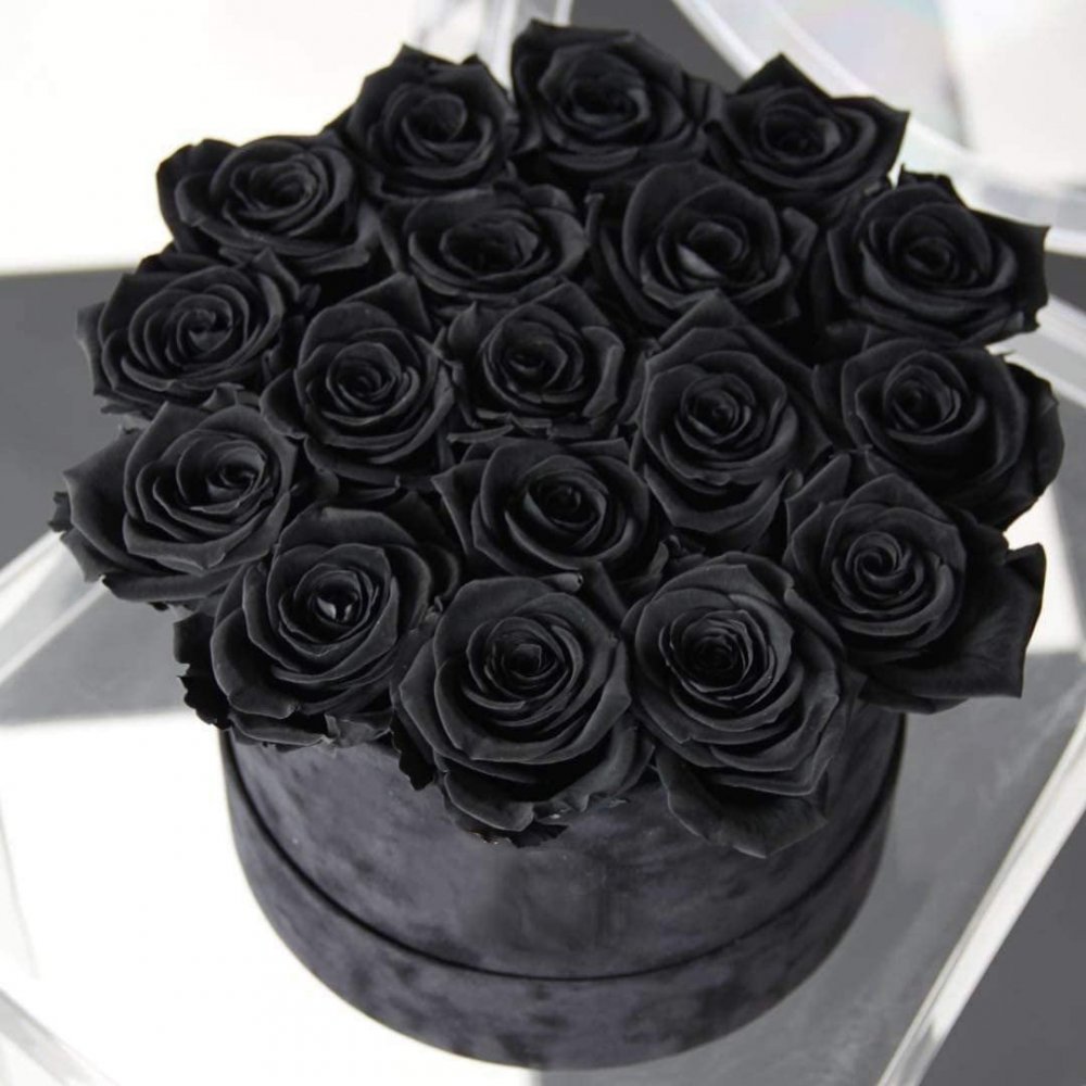 Букет черных роз Эстетика