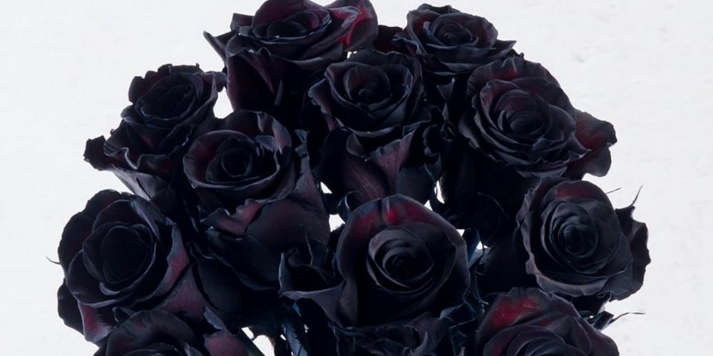 Черные розы куст