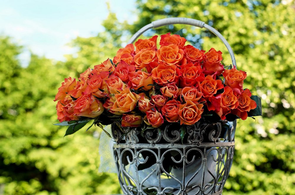 Букет "хризантемы и розы"