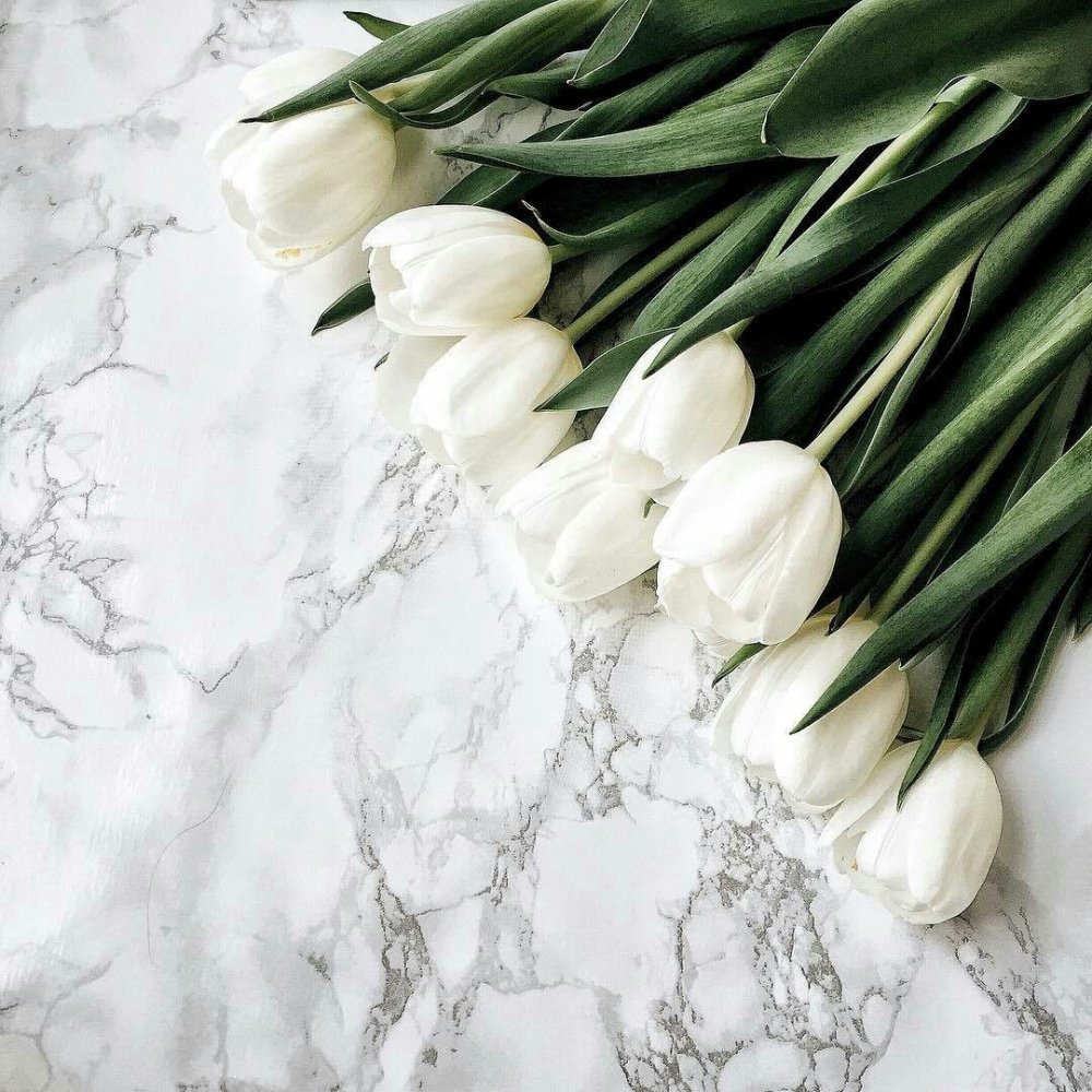 Beautiful Bouquet of White Tulips