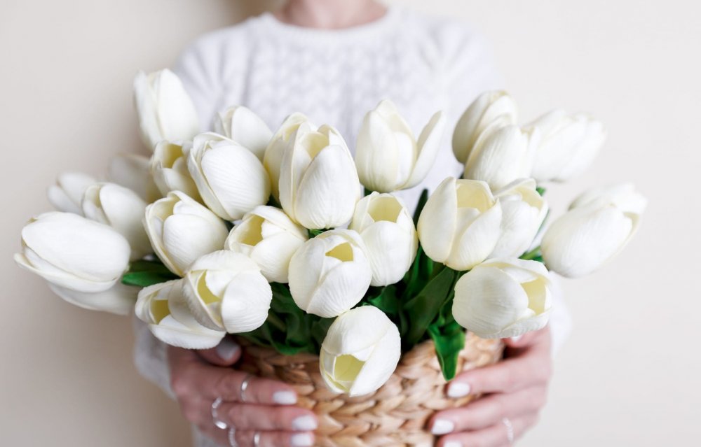 Белый чемодан белые тюльпаны картинка