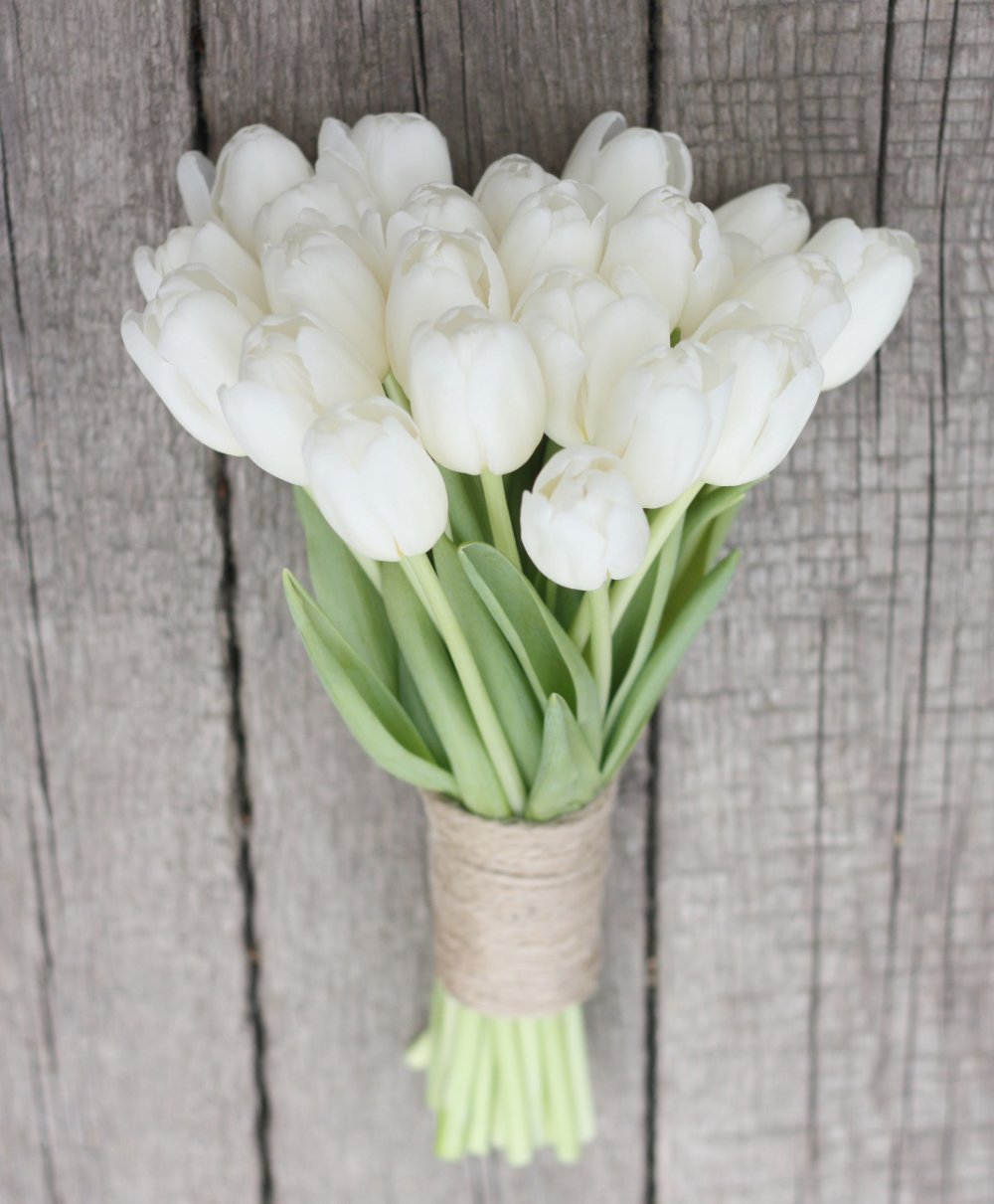25 Пионовидных тюльпанов белых