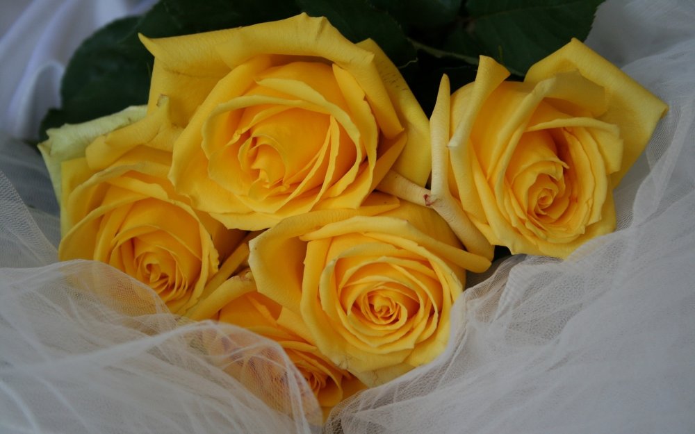 Букет лимонных роз