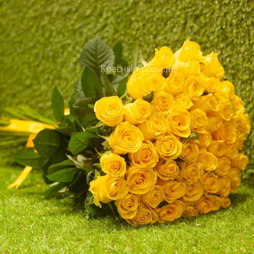 Огромный букет желтых роз