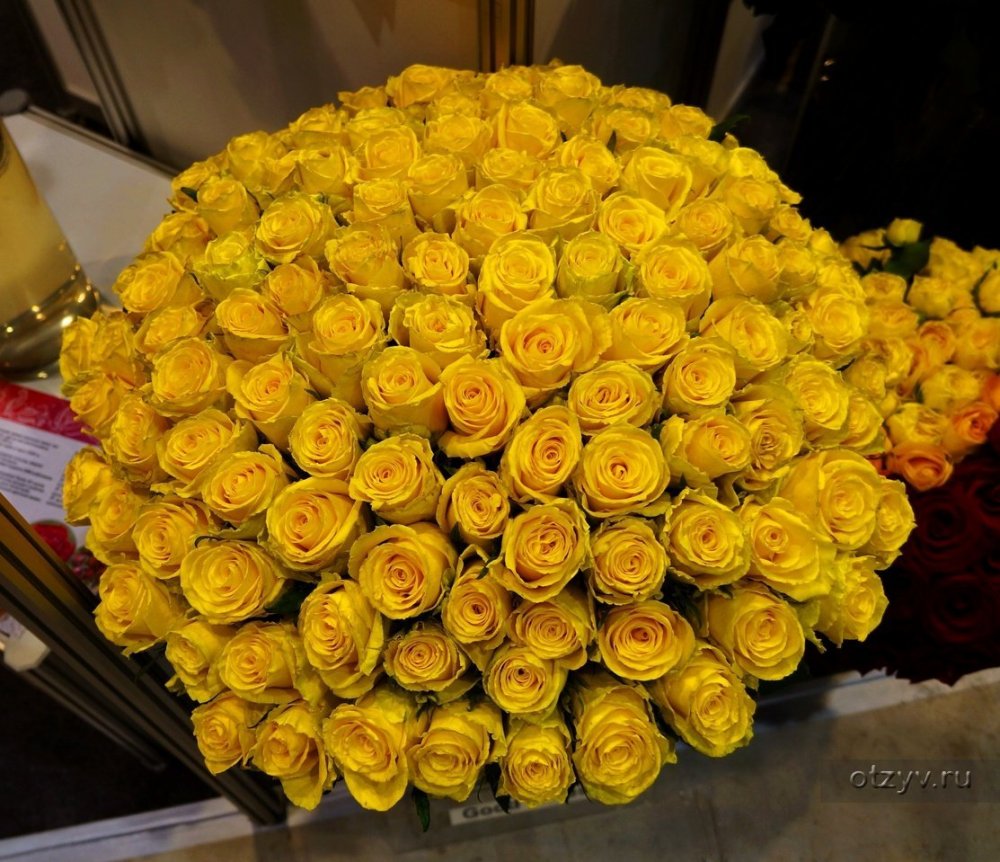 Желтая роза Брайтон