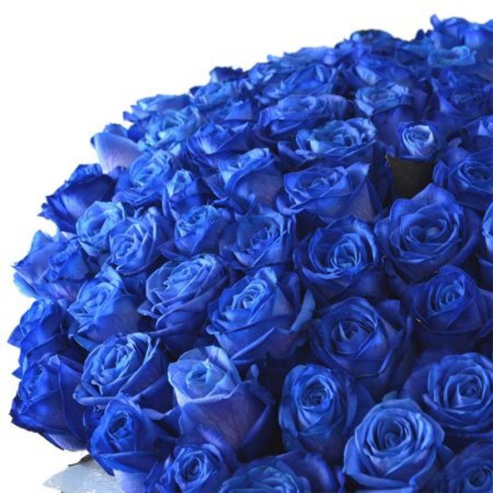 Синие кустовые розы