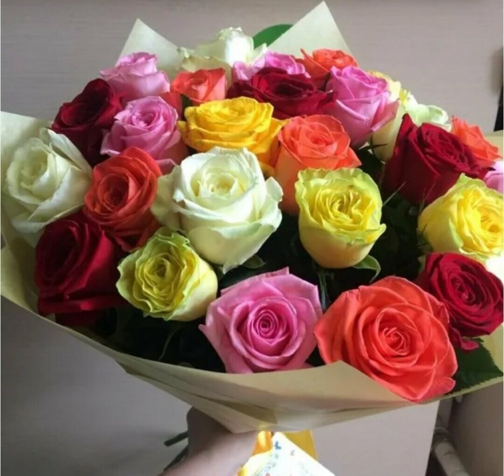 Эквадорские розы разноцветные