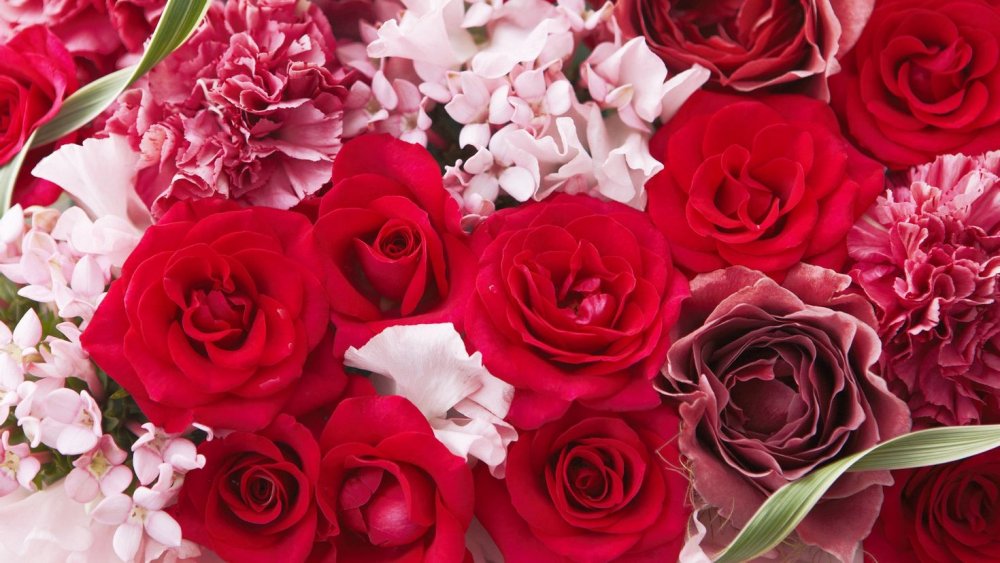 Красно розовые цветы