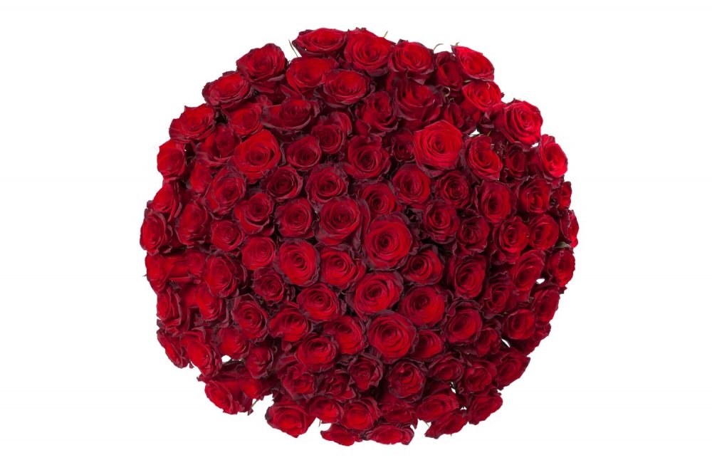 100 Красных роз