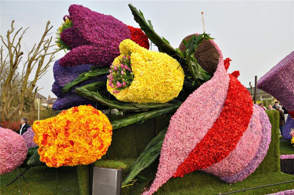 Парад цветов в Аалсмеере