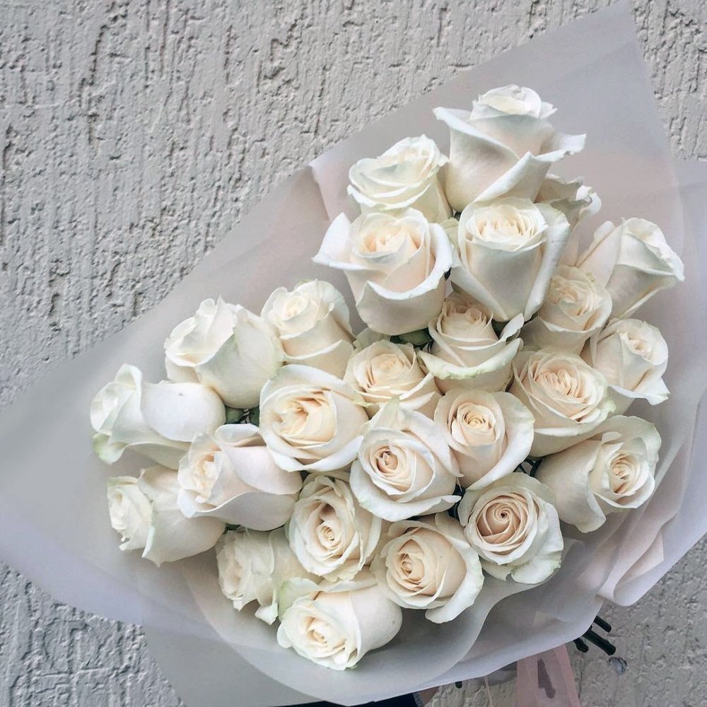 Белые розы фото