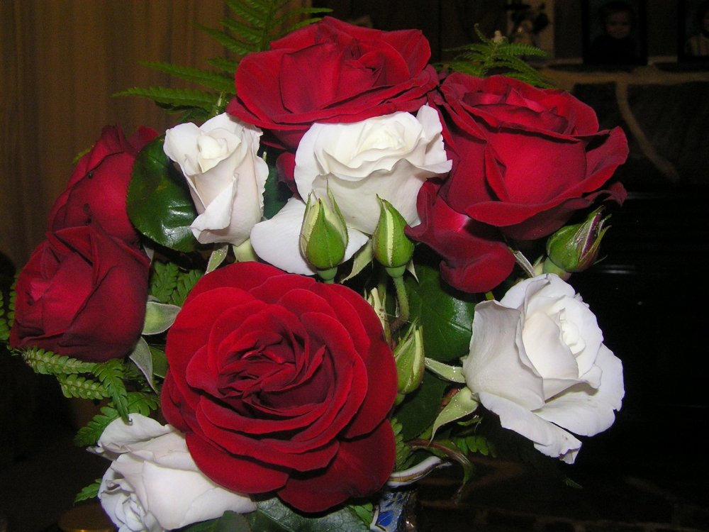Живые розы букет для женщины