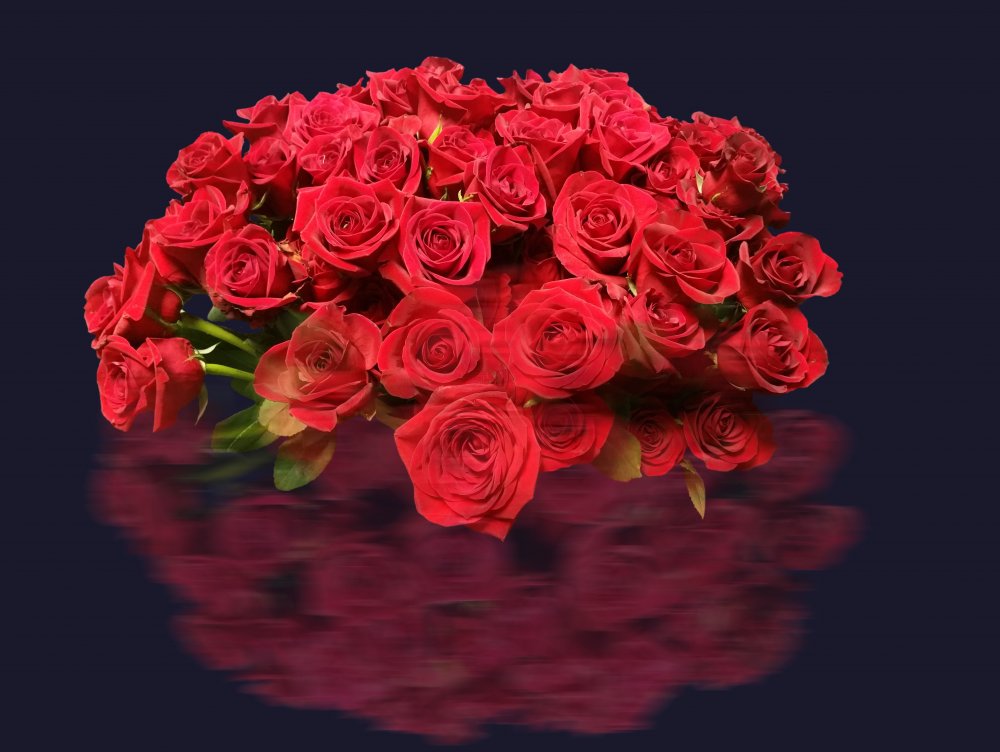 Букет роз на черном фоне