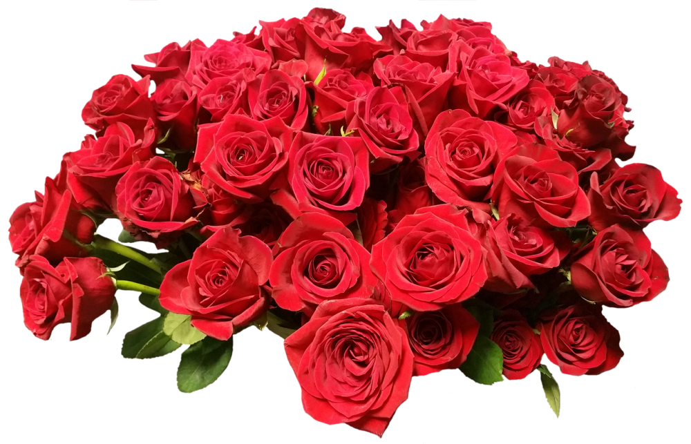 Букет роз на прозрачном фоне