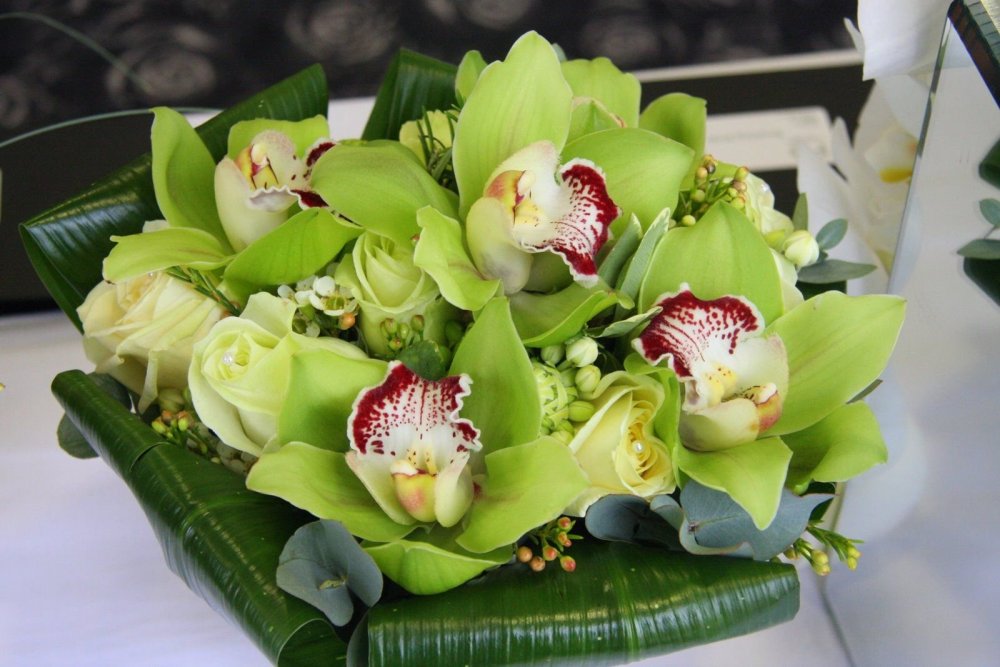 Орхидея Цимбидиум ветка