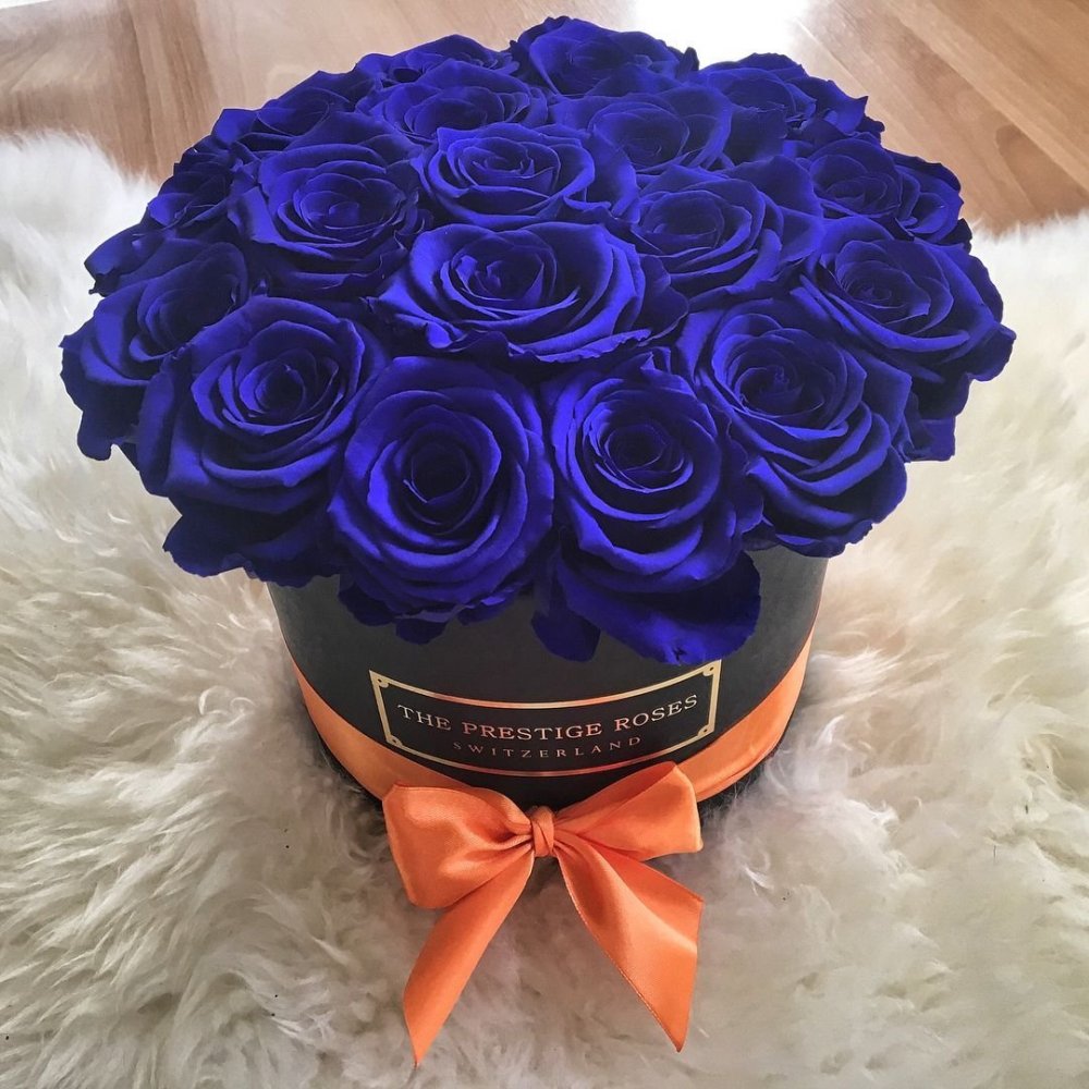 Pacific Blue роза