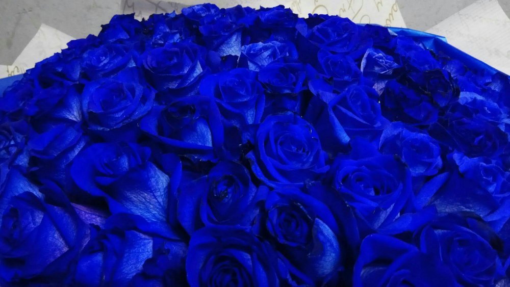Букет роз на синем фоне
