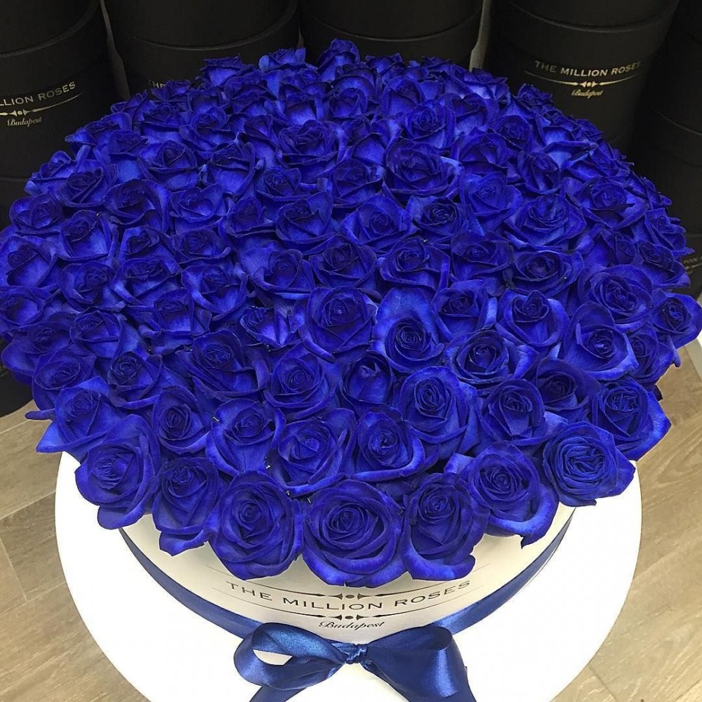 Шикарный букет синих роз