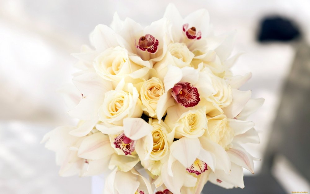 Букет белых орхидей