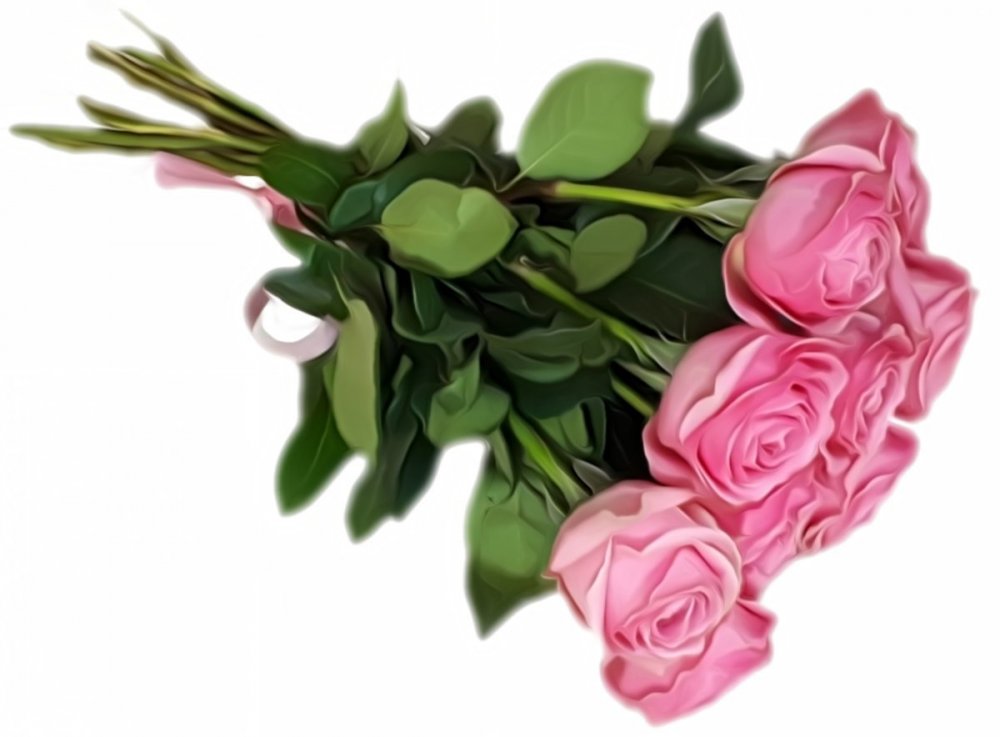 Букет роз на прозрачном фоне