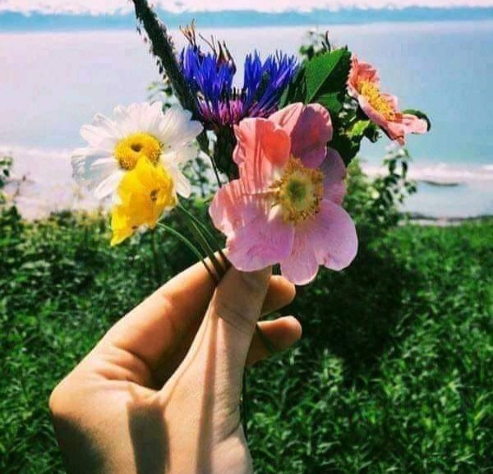 Корзина с цветами природа