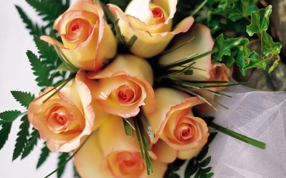 Цветы букеты шикарные чайные розы