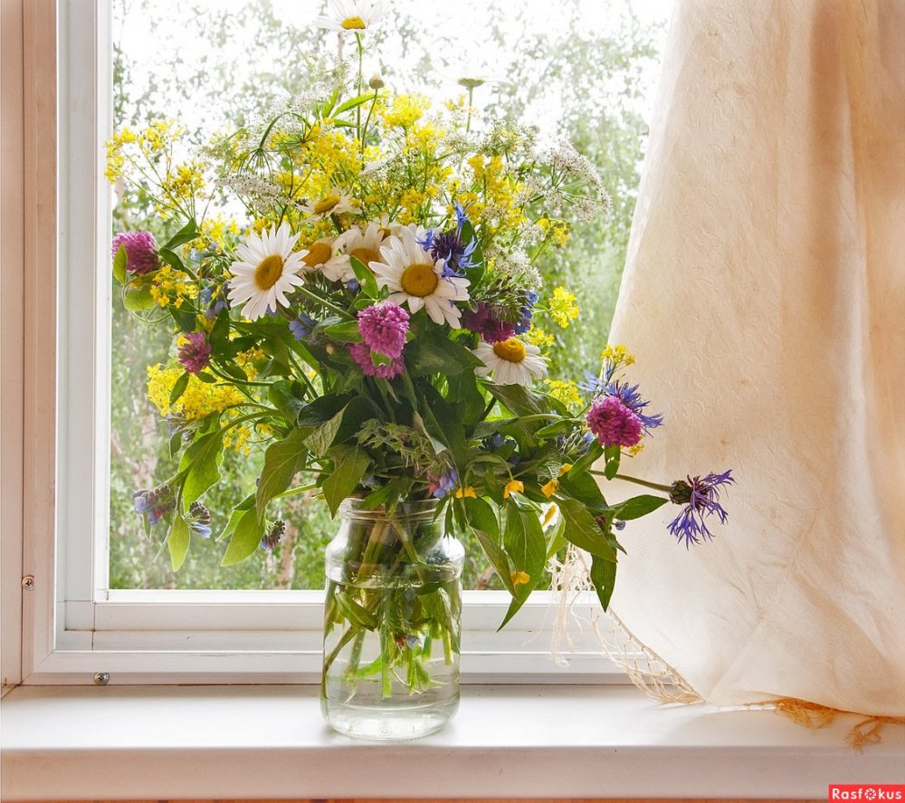 Букет полевых цветов на окне