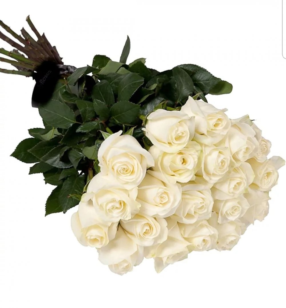 Букет цветов «25 белых роз»