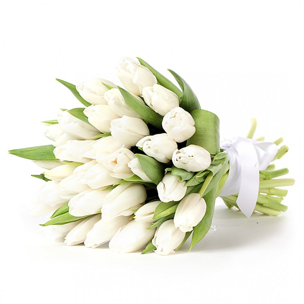 Белые тюльпаны букет