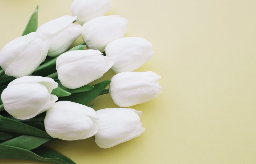 Белые тюльпаны в прозрачной вазе