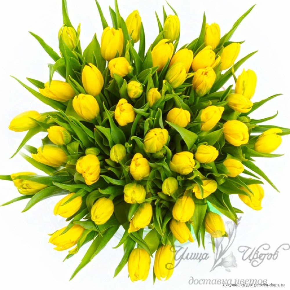Большой букет желтых тюльпанов