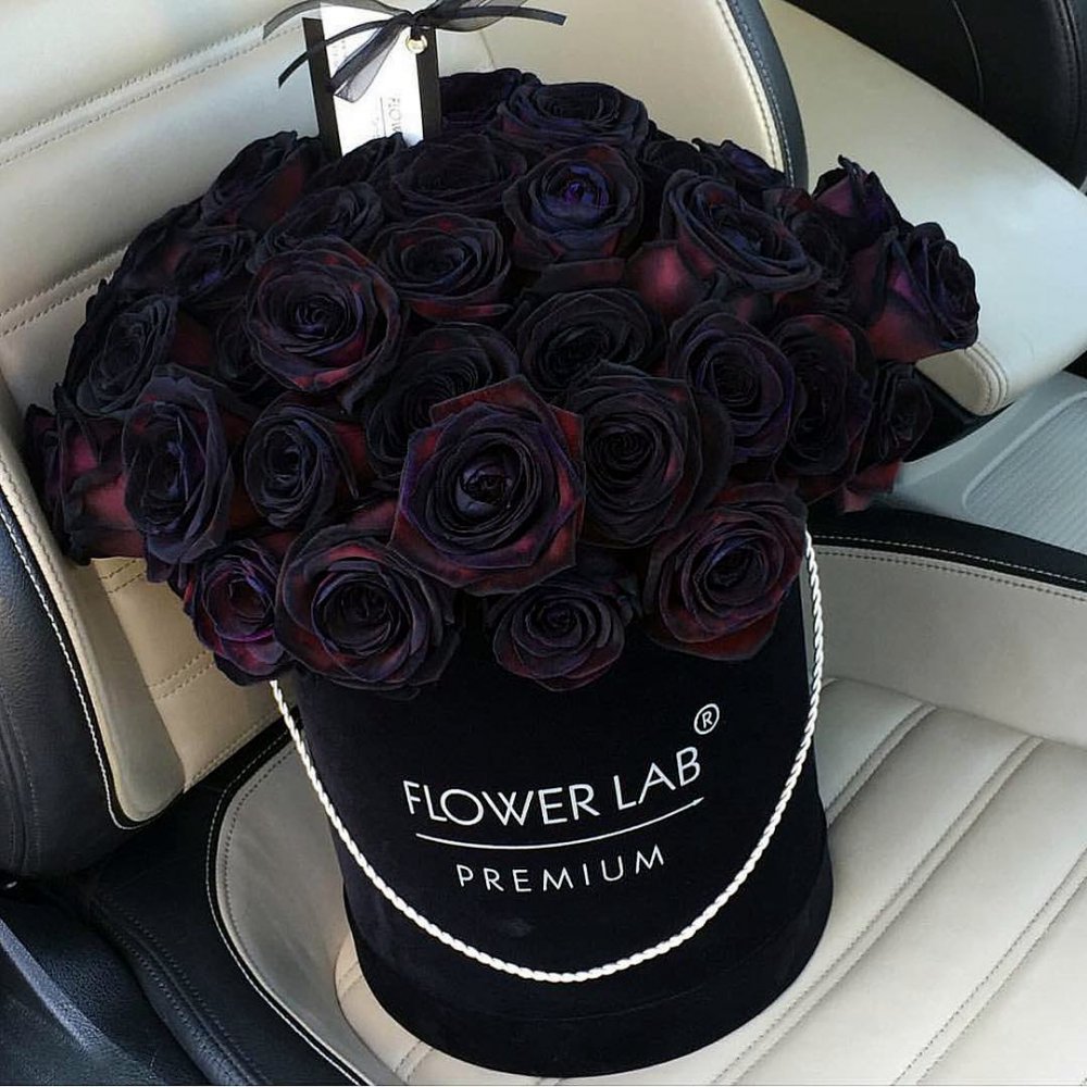 Красивый букет черных роз