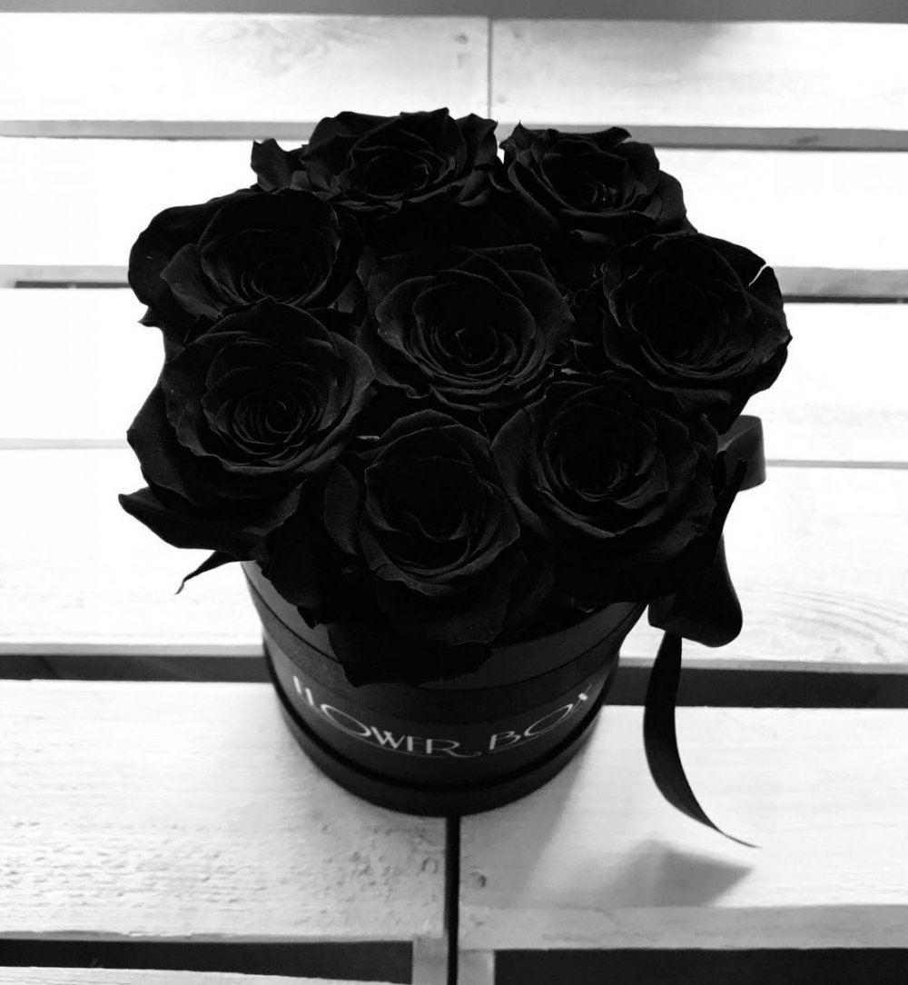 Красивый букет черных роз