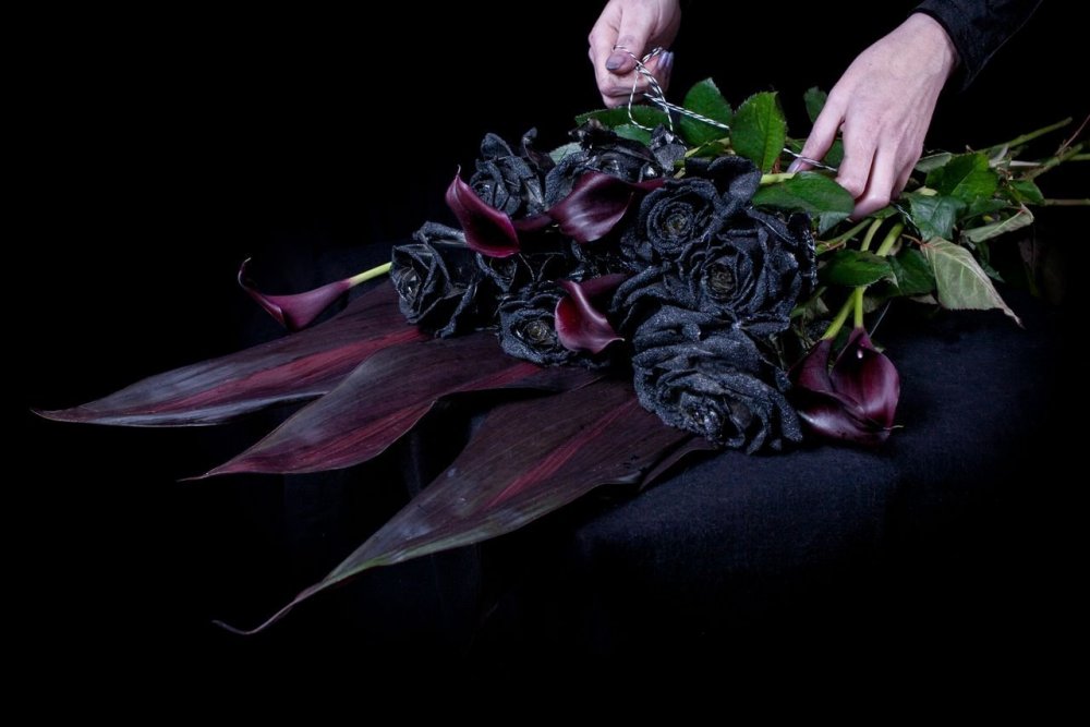 Черные матовые розы