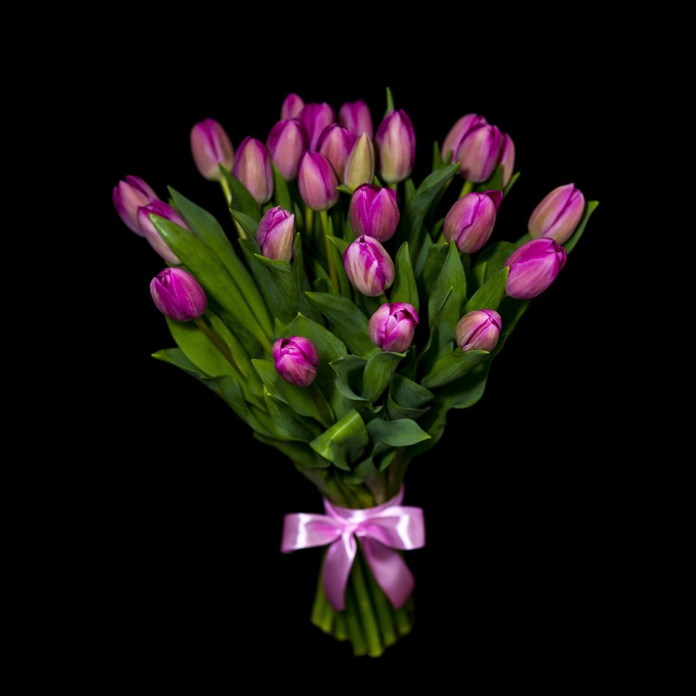 Нежно розовые тюльпаны букет