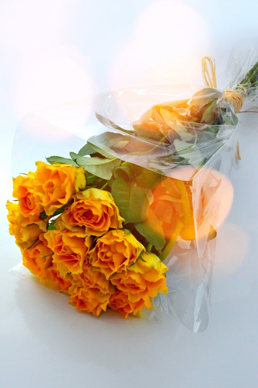 Кустовая роза Сильвана оранжевая