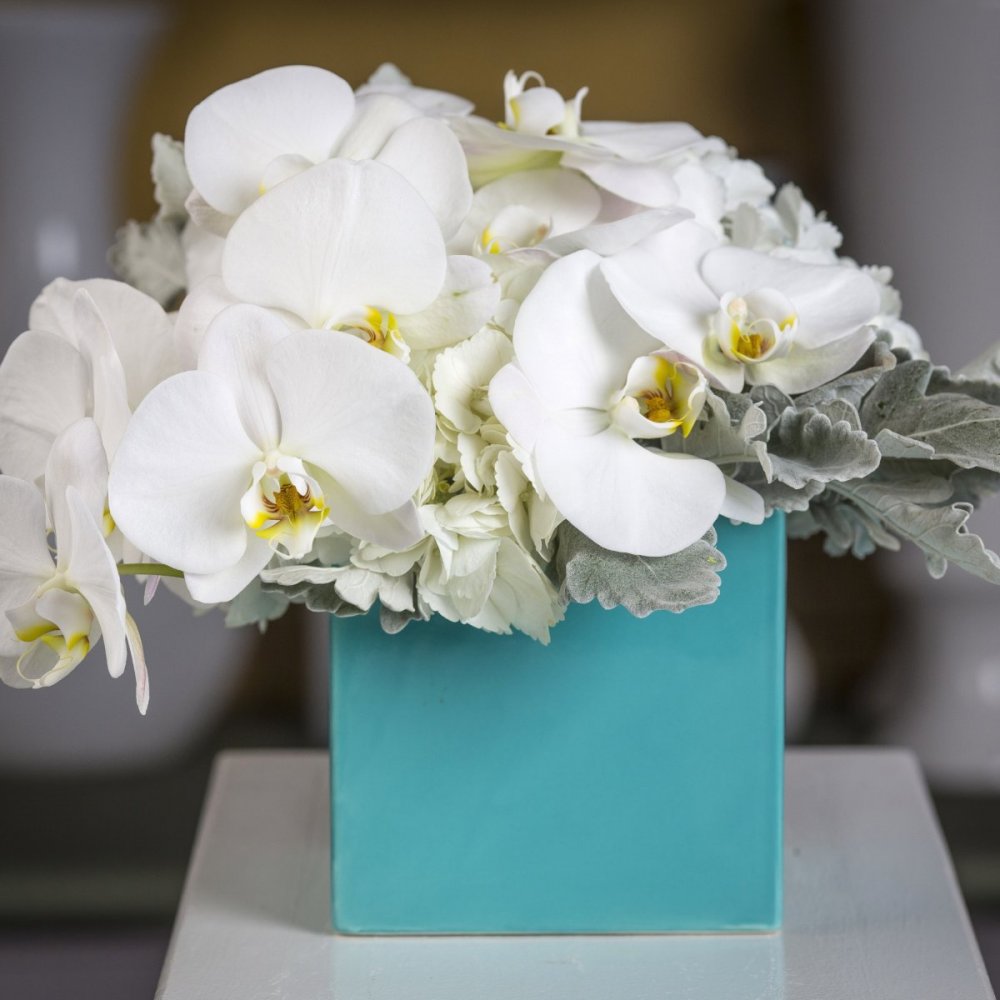 Букет белые орхидеи фаленопсис