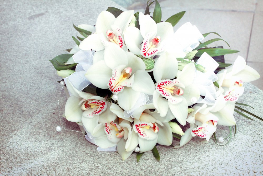 Красивый букет из орхидей