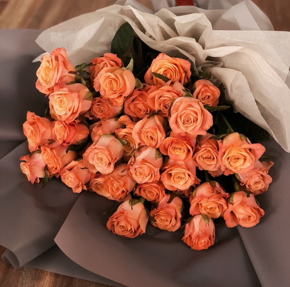 Роза оранжево коралловая
