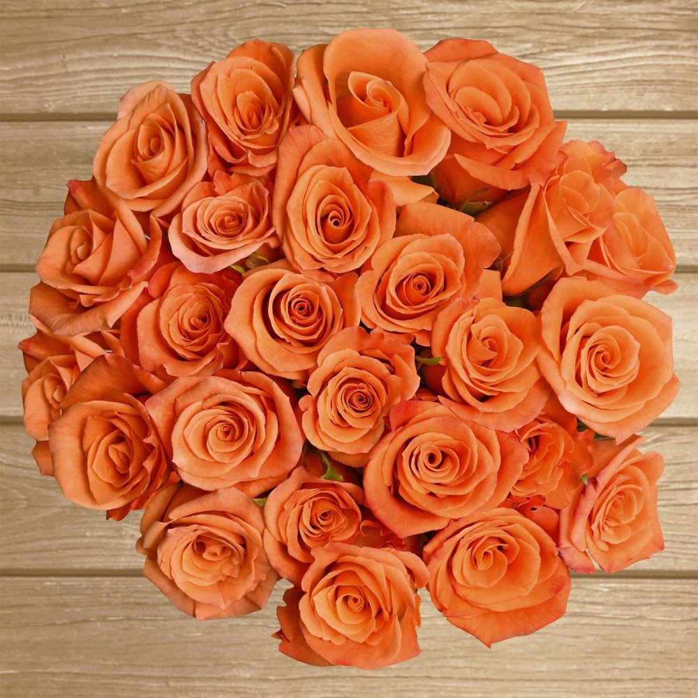 Роза огромная оранжевая