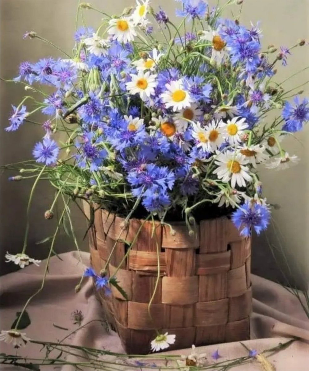 Букет полевых цветов