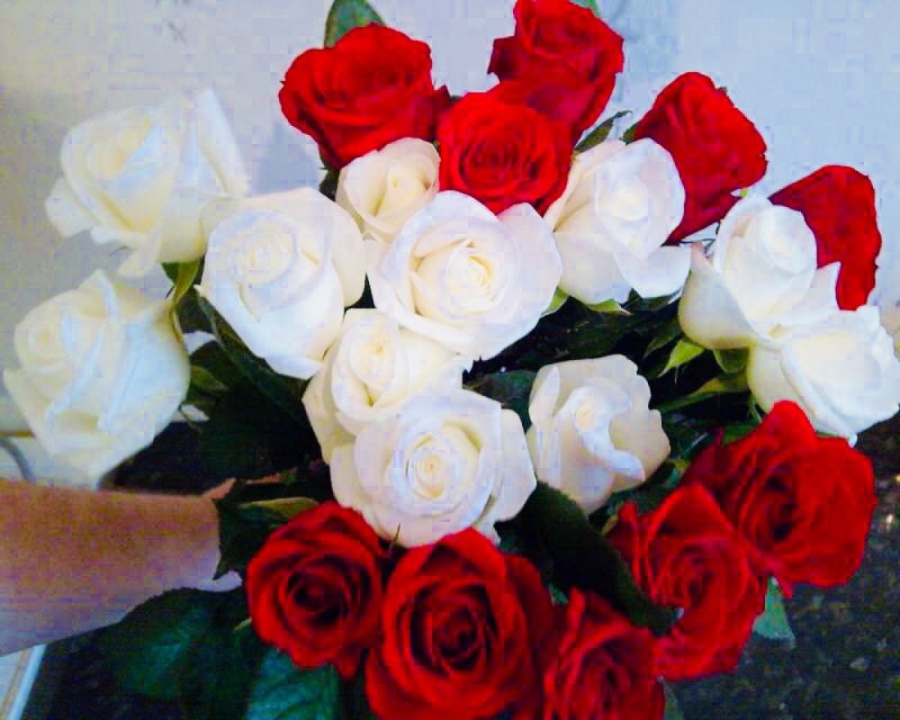 Красивые цветы розы букеты настоящие