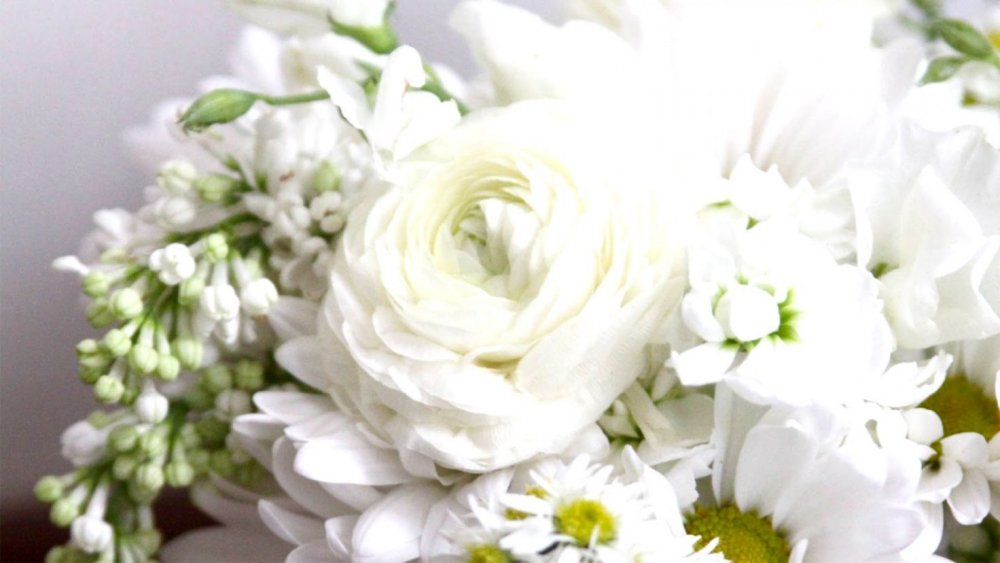 Красивые белые цветы с днем рождения