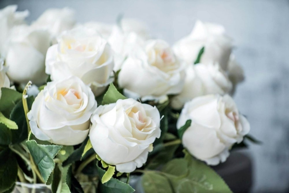Красивые белые цветы с днем рождения